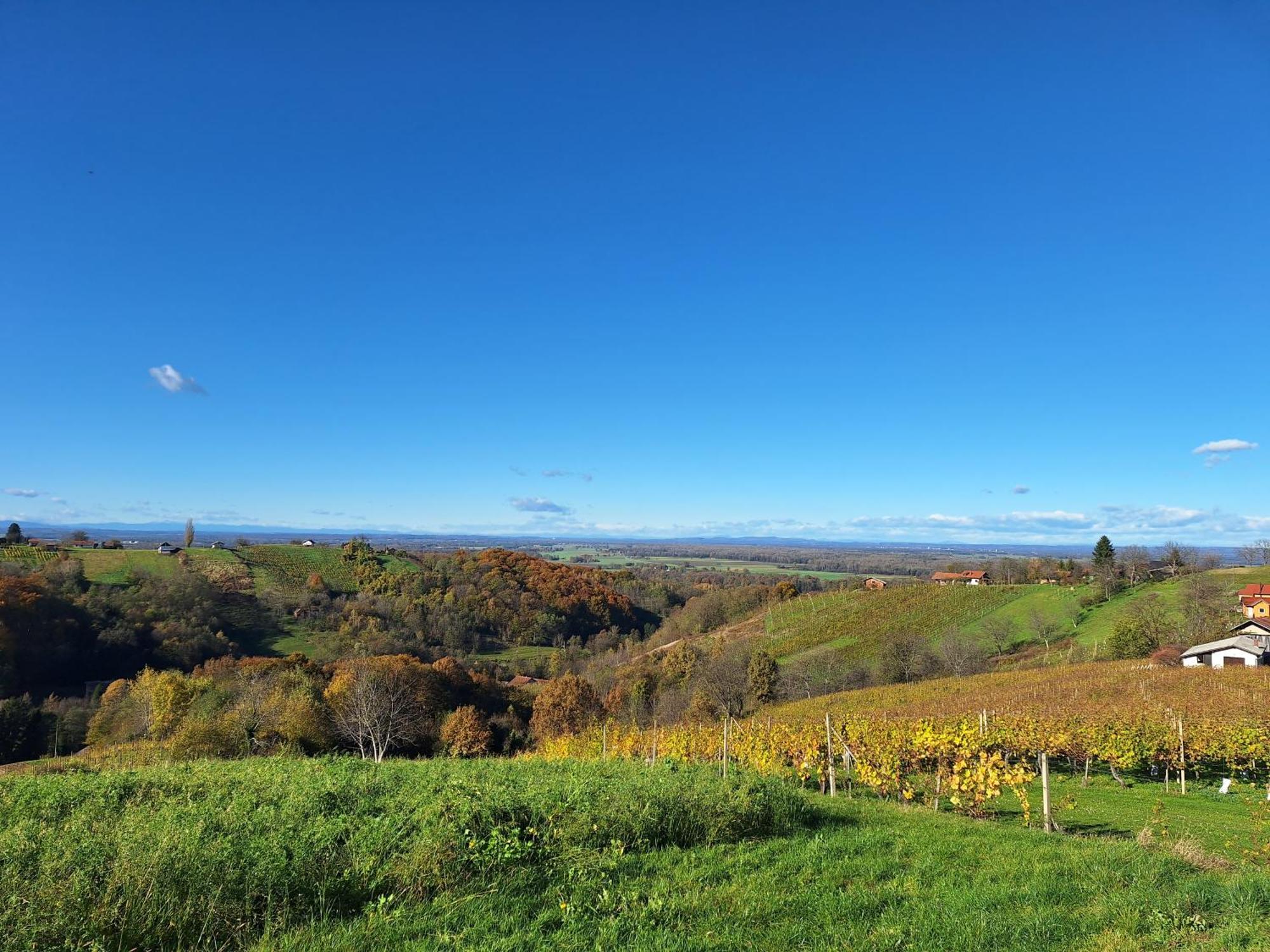 Kuca Za Odmor Kodba Villa Strigova Dış mekan fotoğraf