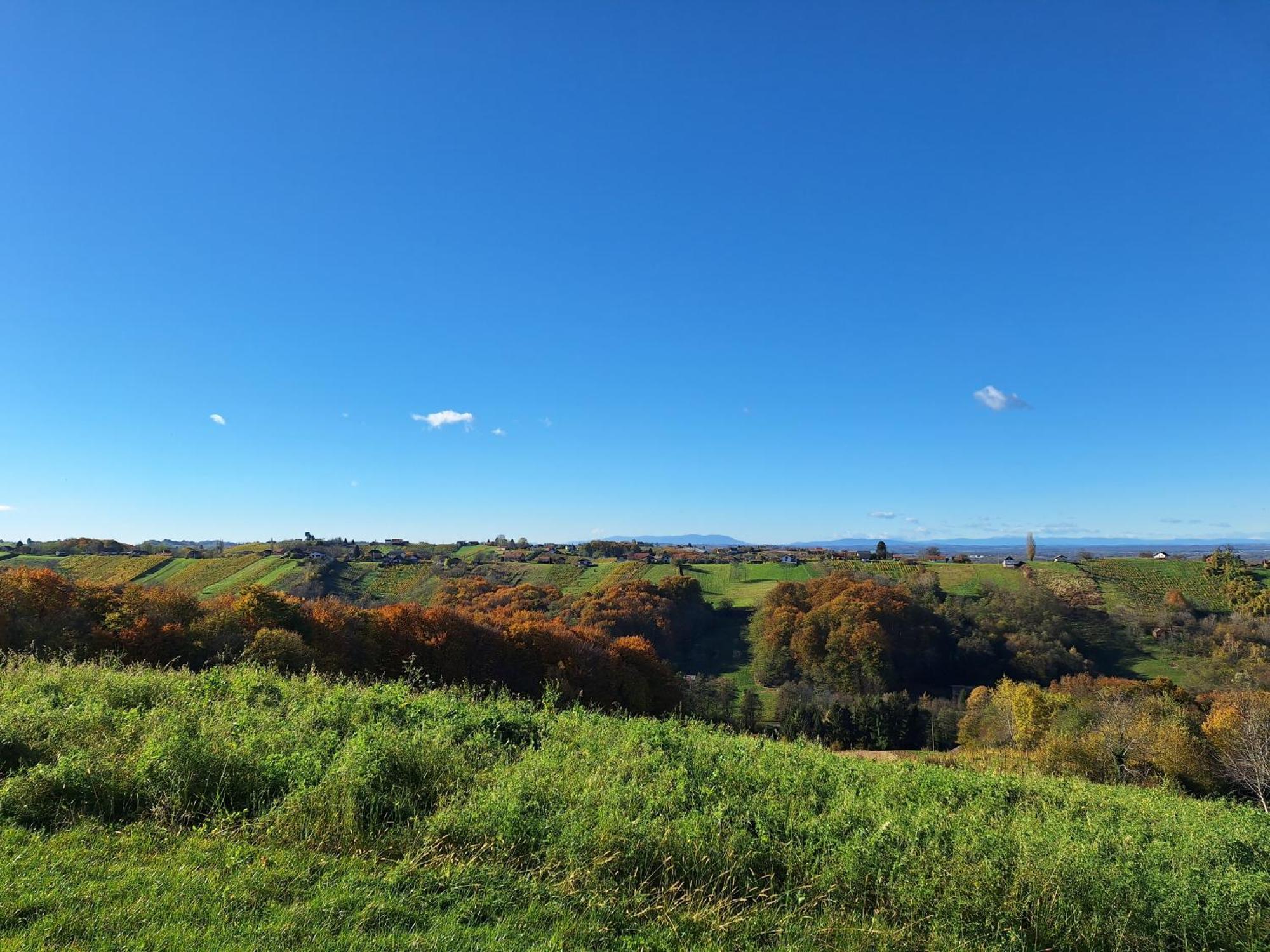 Kuca Za Odmor Kodba Villa Strigova Dış mekan fotoğraf